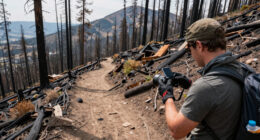 Wildfire Incinerates a ‘Hidden Gem’ in Utah’s Mountains
