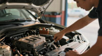 Autozone Surges In Global Coverage